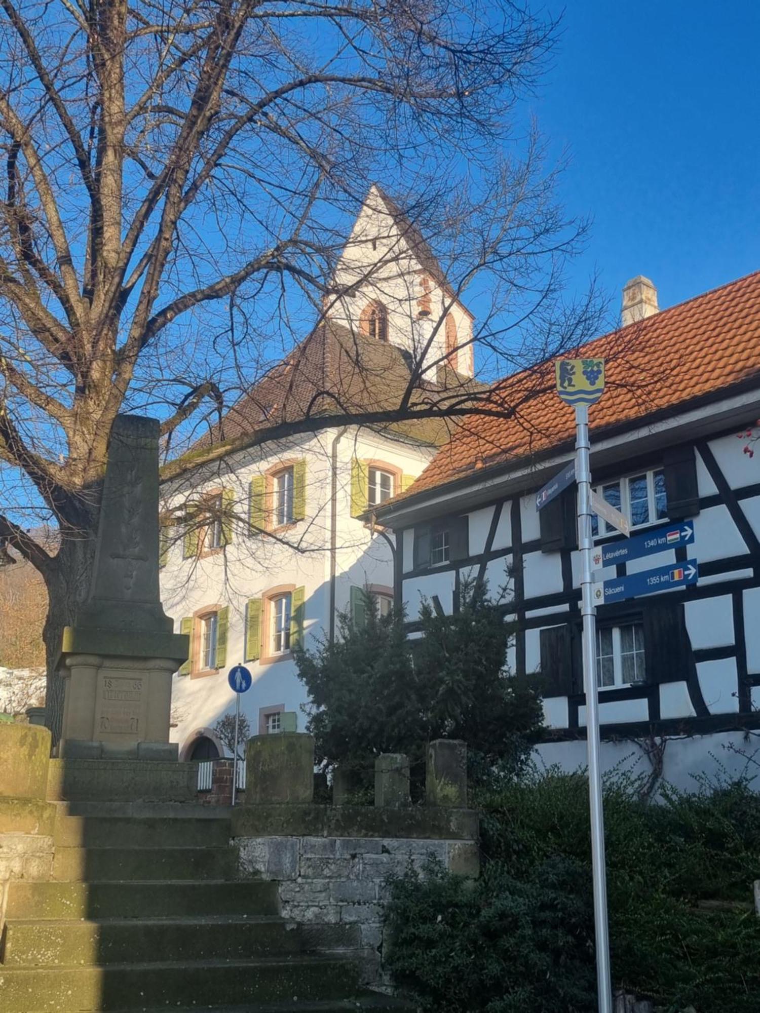 Regio Basiliensis Appartement Grenzach-Wyhlen Buitenkant foto
